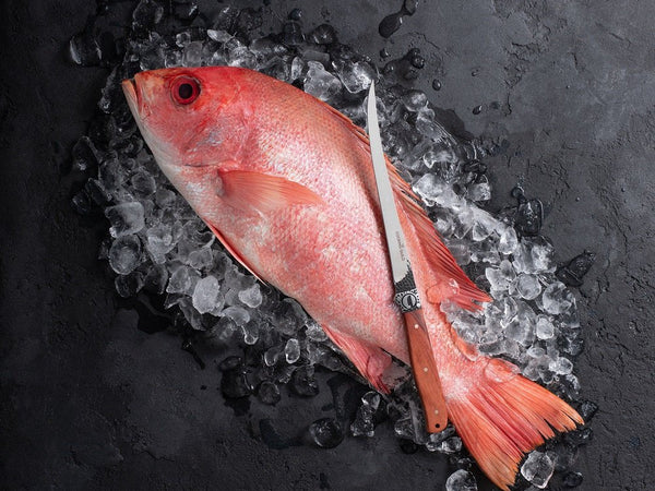 Flexible fillet knife with a narrow tapered blade bending along the ribcage of a fish
